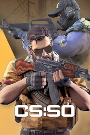 Counter-Strike: Source Offensive Vietnam sunucuları