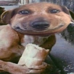 wereallgoingtodie