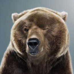 bear7210